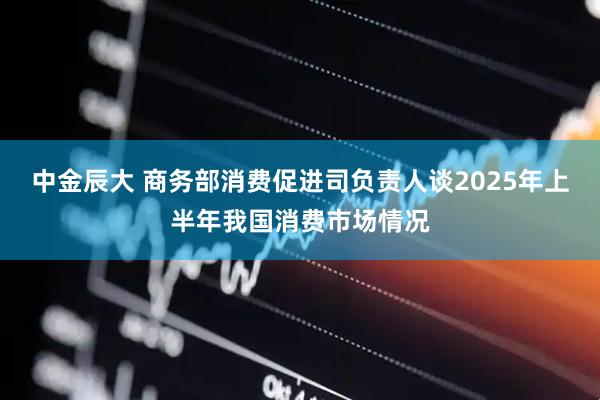 中金辰大 商务部消费促进司负责人谈2025年上半年我国消费市场情况
