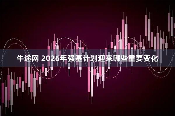 牛途网 2026年强基计划迎来哪些重要变化