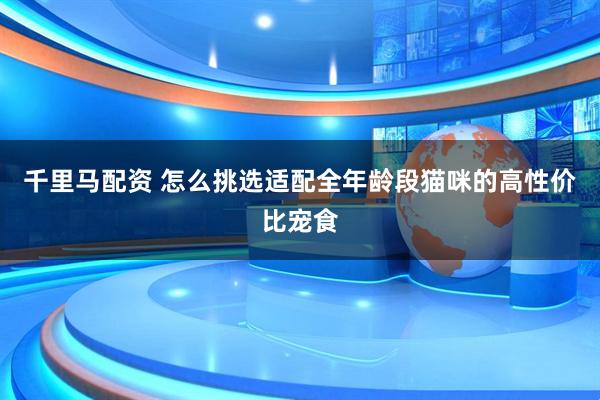 千里马配资 怎么挑选适配全年龄段猫咪的高性价比宠食