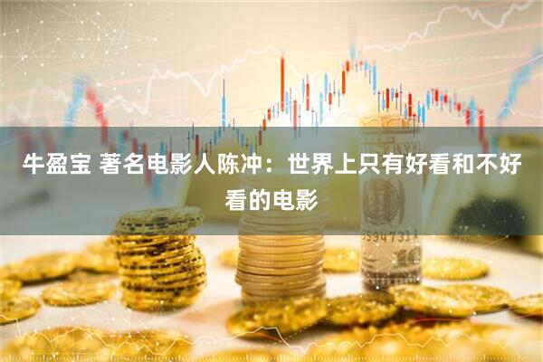 牛盈宝 著名电影人陈冲：世界上只有好看和不好看的电影
